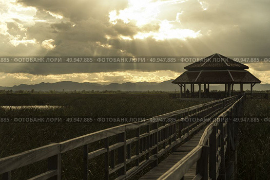 Wooden bridge over a lake in Sam Roi Yod National Park, Prachuap Khiri Khan, Thailand. Стоковое фото, агентство Ingram Publishing / Фотобанк Лори