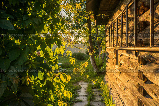 Wooden house with stairs and vine leaves. Стоковое фото, фотограф Дмитрий Тищенко / Фотобанк Лори