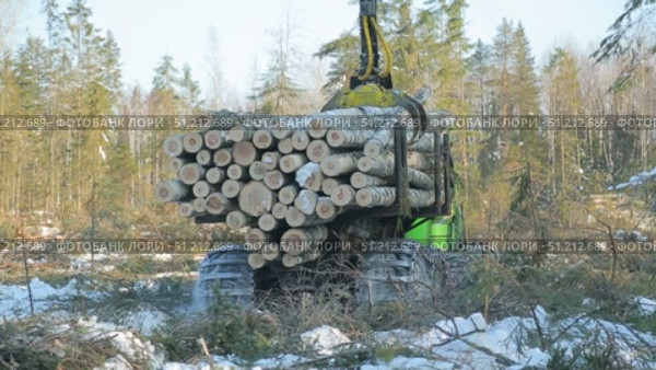 work skidder logging in winter. Стоковое видео, видеограф Алексей Сергеев / Фотобанк Лори
