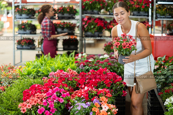 Young girl choosing vinca flower in garden-pot in plants market. Стоковое фото, фотограф Яков Филимонов / Фотобанк Лори