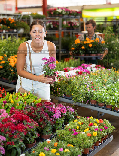 Young girl holding flower-pot with pentas in large plants market. Стоковое фото, фотограф Яков Филимонов / Фотобанк Лори