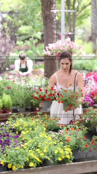 Young Spaniard woman in light white dress examining delicate brightly colored flowers of calibrachoa million bells in pots while selecting ornamental plants to decorate courtyard at garden store. Стоковое видео, видеограф Яков Филимонов / Фотобанк Лори