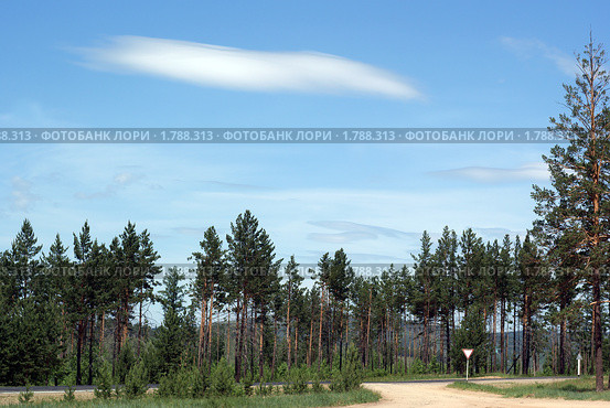Забайкалье. Автодорога А-166 Чита-Забайкальск. Облака над лесом. Стоковое фото, фотограф Валерий Лаврушин / Фотобанк Лори