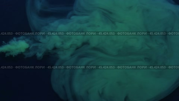 Замедленная съемка. Струя зеленой флуоресцентной краски под водой. Вид сверху. Стоковое видео, видеограф Александр Собко / Фотобанк Лори