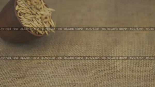 Замедленная съемка. Целые зерна овса высыпаются из упавшего глиняного горшка на мешковину. Семена падают на мешковину. Концепция изобилия. Крупный план. Стоковое видео, видеограф Александр Собко / Фотобанк Лори