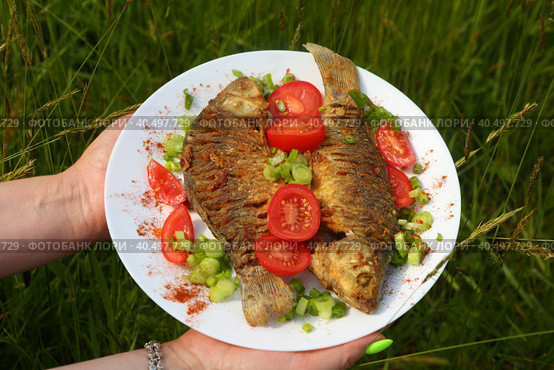 Жареный карась с помидорами и зеленым луком. Стоковое фото, фотограф Марина Володько / Фотобанк Лори
