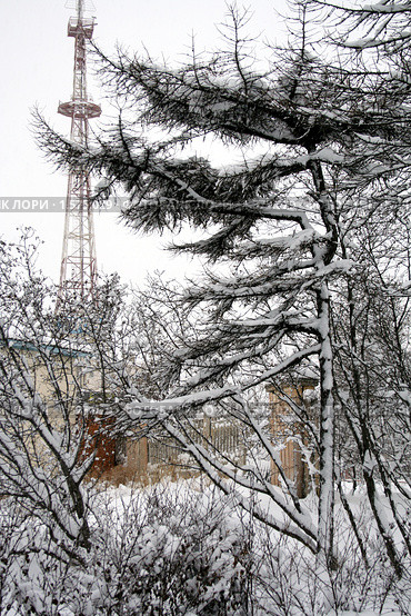 Зима в парке. Телевышка (2005 год). Стоковое фото, фотограф Александр Мягков / Фотобанк Лори