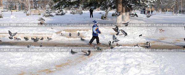 Зимние зарисовки, Догоню, поймаю съем (2010 год). Редакционное фото, фотограф Королевский Иван / Фотобанк Лори