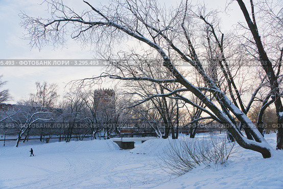 Зимний вечер около Новодевичьего монастыря (2011 год). Стоковое фото, фотограф Павел Широков / Фотобанк Лори