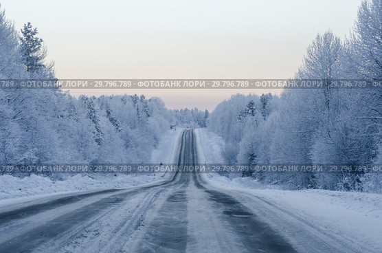 Зимняя дорога среди снежного леса. Спуск и подъем. Перспектива. Стоковое фото, фотограф Яковлев Сергей / Фотобанк Лори