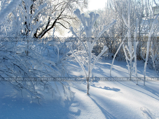 Зимняя зарисовка (2007 год). Стоковое фото, фотограф Анатолий Заводсков / Фотобанк Лори